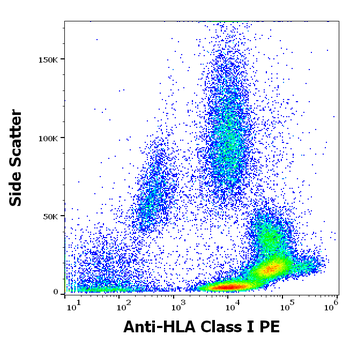 Anti-HLA Class I PE