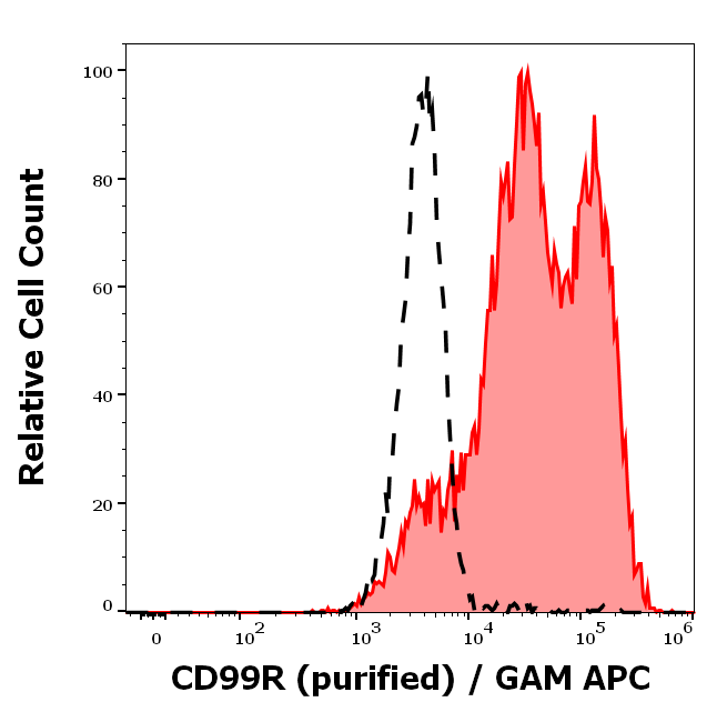 CD99R Antibody