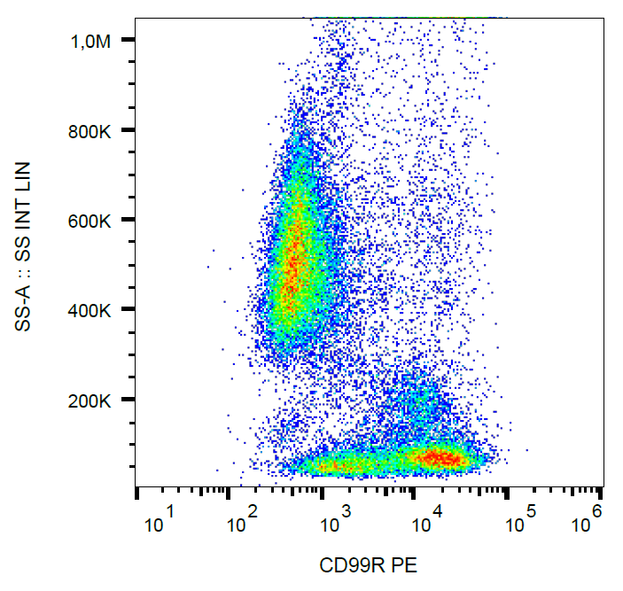 CD99R Antibody (PE)