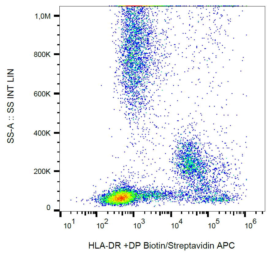 HLA-DR/DP Antibody (Biotin)