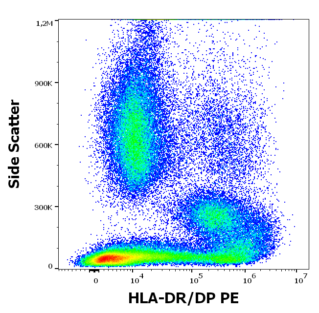 HLA-DR antibody (PE)
