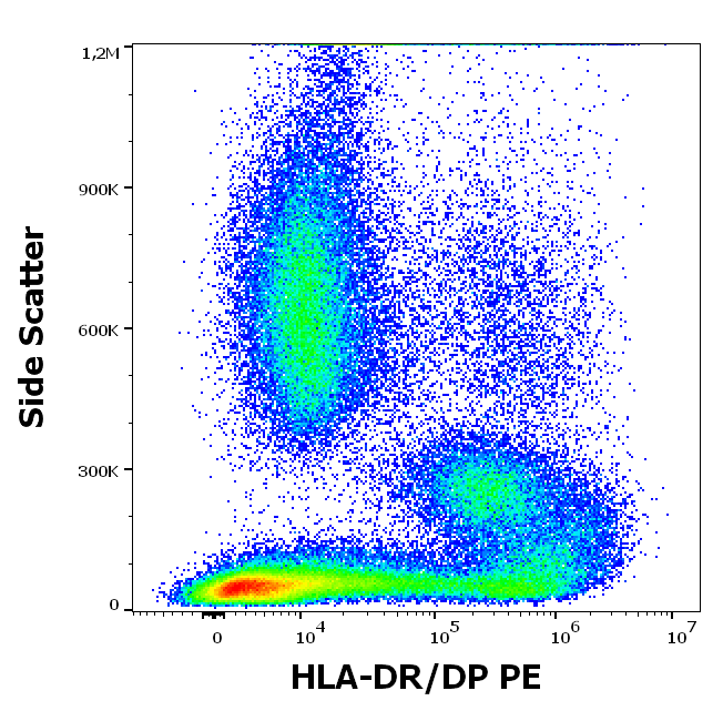 Anti-HLA-DR/DP PE
