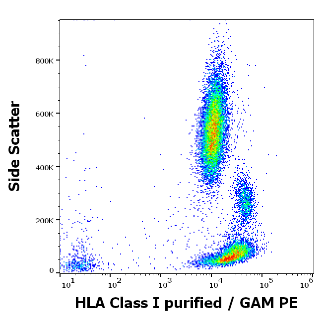 Anti-HLA Class I Purified