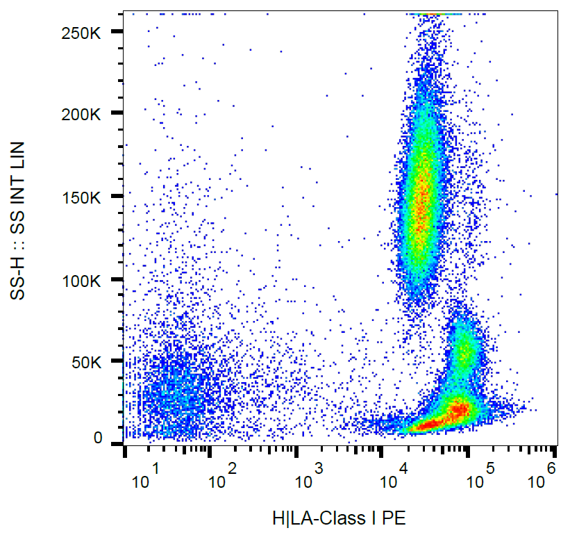 HLA Class I Antibody (PE)