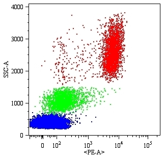 CD16 Antibody (PE)