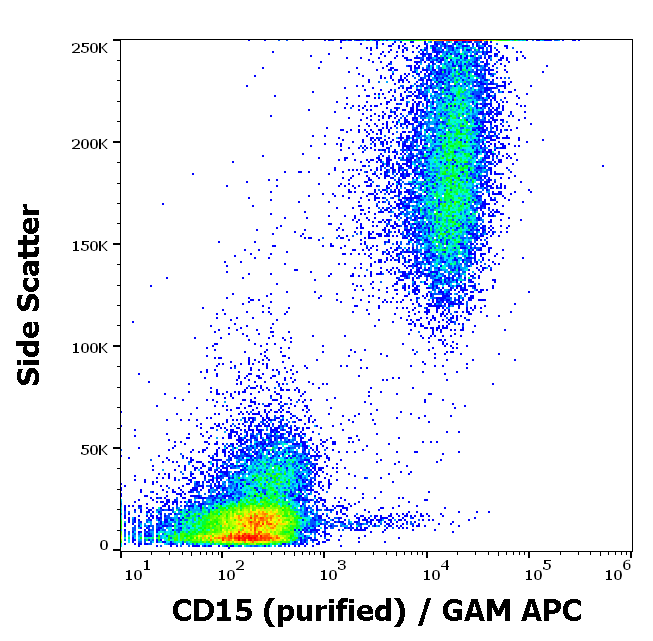 CD15 antibody