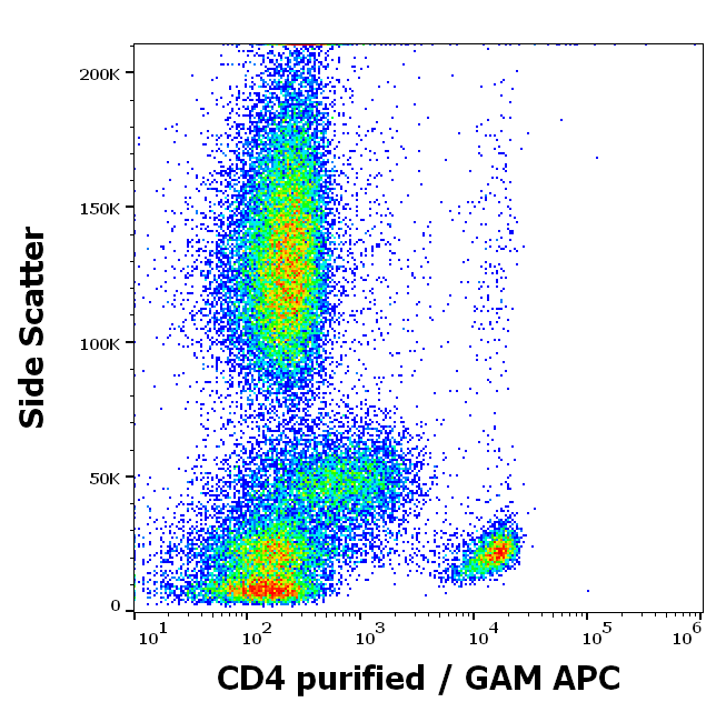 CD4 Antibody