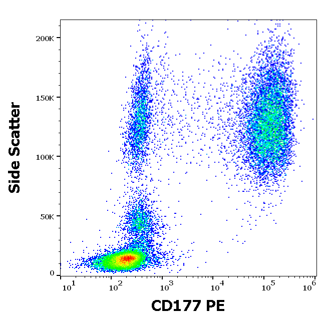 CD177 Antibody (PE)