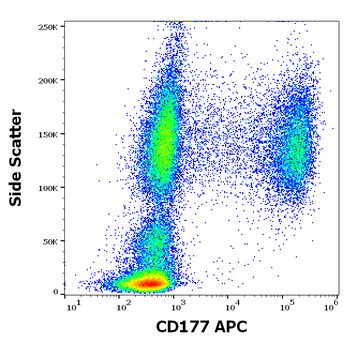 CD177 Antibody (APC)