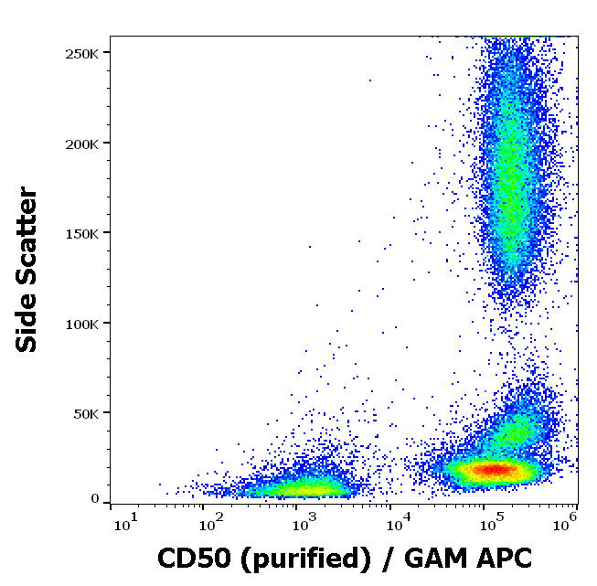 Anti-Hu CD50 Purified