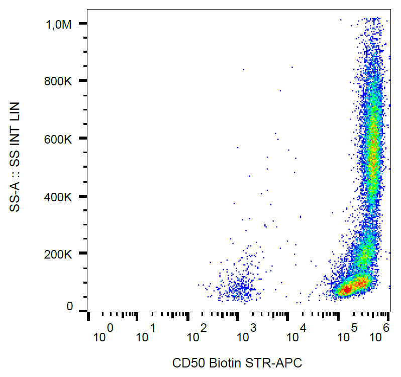 CD50 Antibody (Biotin)
