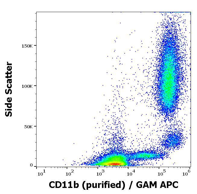 Anti-Hu CD11b Purified