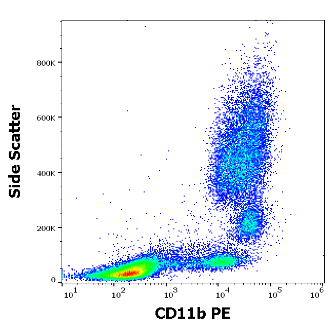 CD11b antibody (PE)