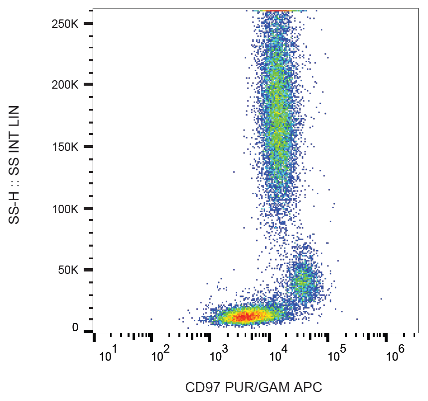 CD97 Antibody