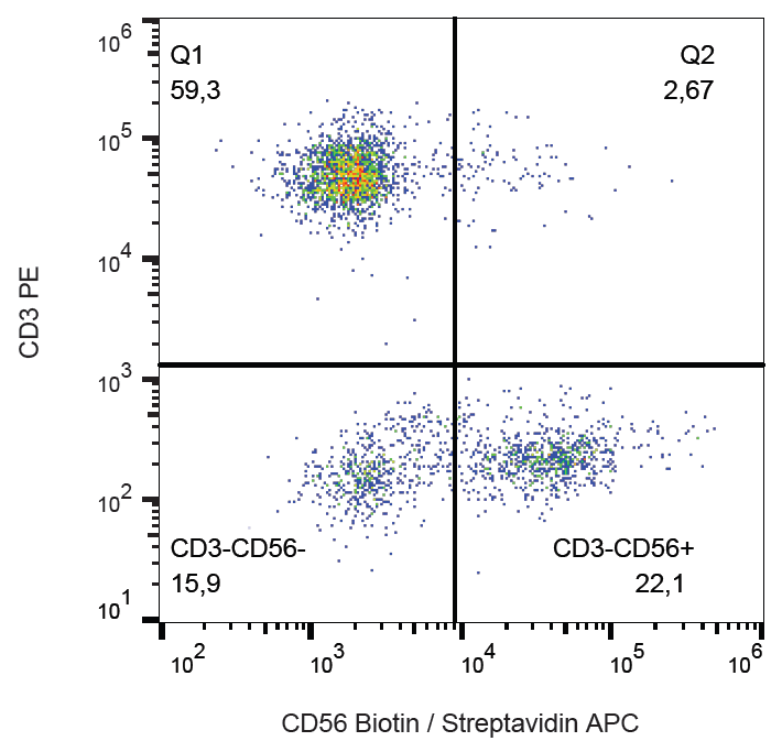 CD56 Antibody (Biotin)