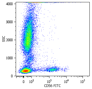 CD56 Antibody (FITC)