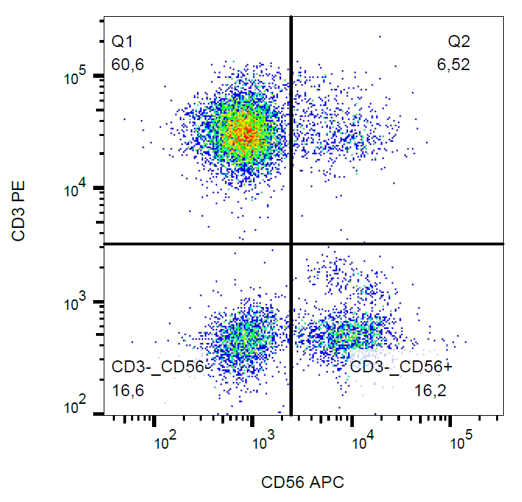 CD56 Antibody (APC)