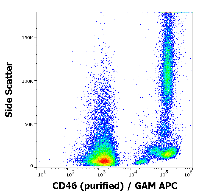 Anti-Hu CD46 Purified