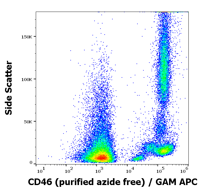 CD46 antibody