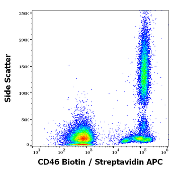 Anti-Hu CD46 Biotin