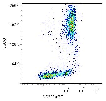 CD300a Antibody (PE)