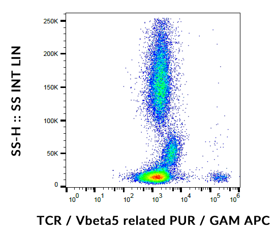 TCR Vbeta5.3-related Antibody