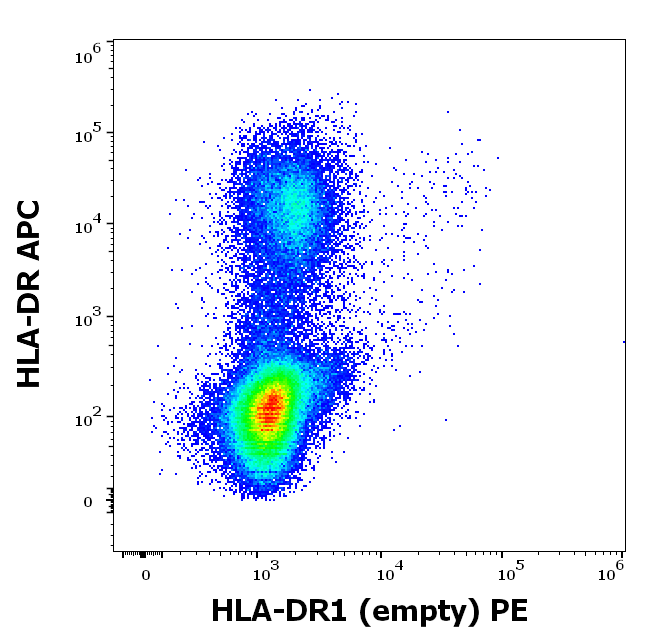 HLA-DR1 (empty) Antibody (PE)