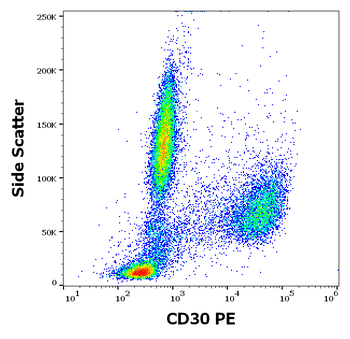 CD30 Antibody (PE)