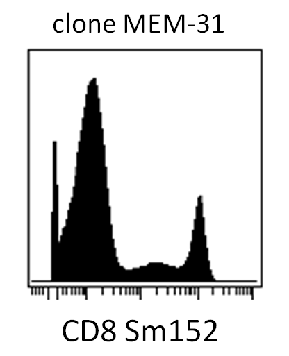 CD8 Antibody