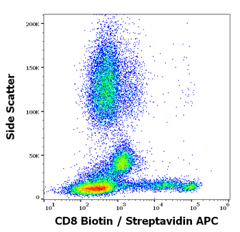 Anti-Hu CD8 Biotin