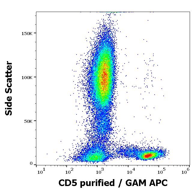 Anti-Hu CD5 Purified