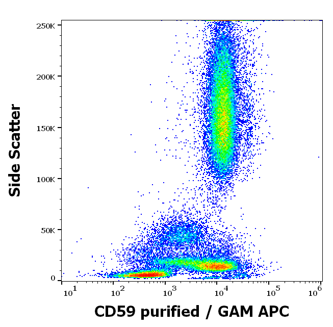 Anti-Hu CD59 Purified