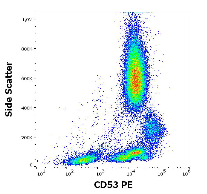 CD53 antibody (PE)