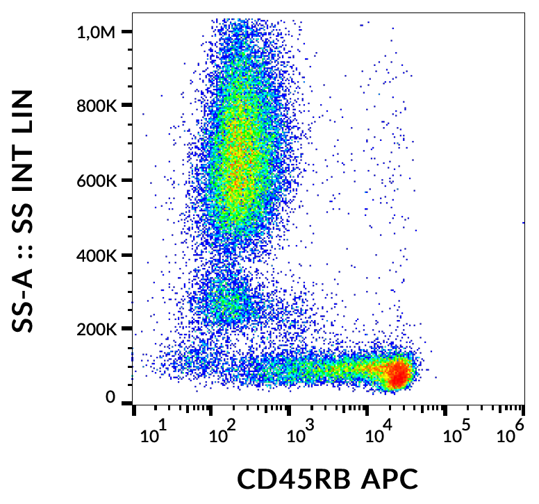 CD45RB Antibody (APC)