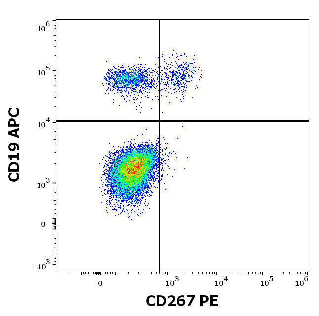 CD267 Antibody (PE)