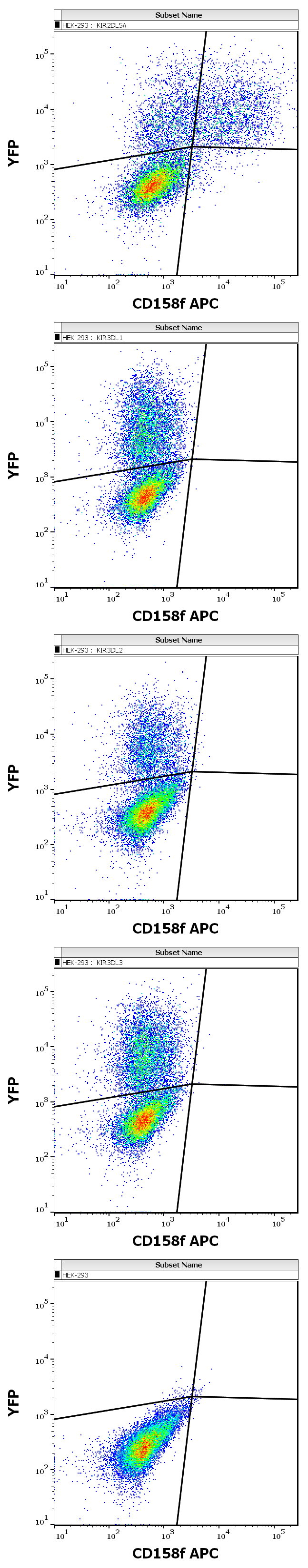 CD158f Antibody (APC)