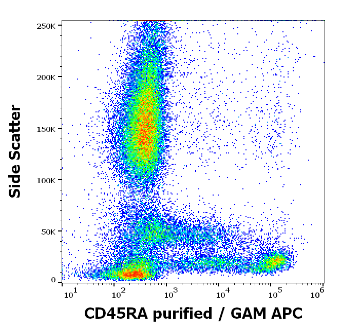 Anti-Hu CD45RA Purified