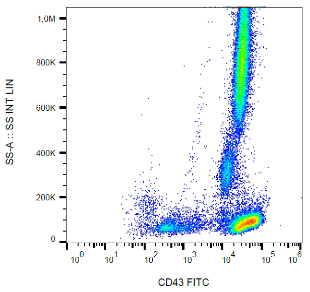 CD43 Antibody (FITC)