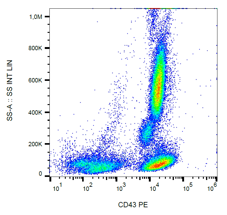 CD43 Antibody (PE)