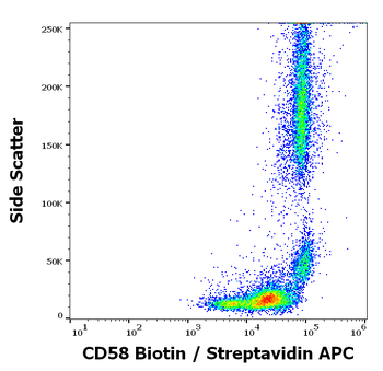 Anti-Hu CD58 Biotin