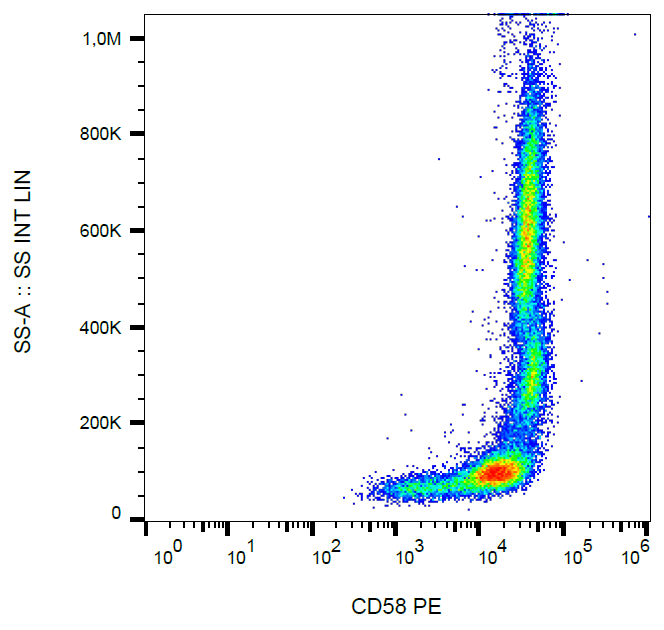 CD58 Antibody (PE)