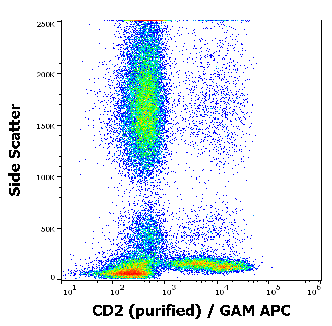 CD2 antibody