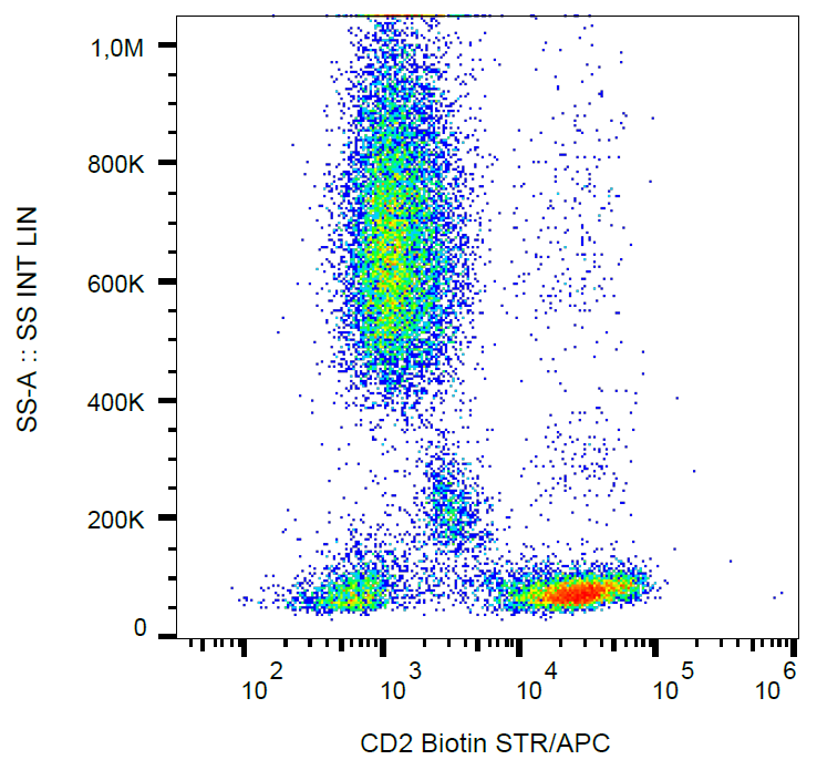 CD2 Antibody (Biotin)