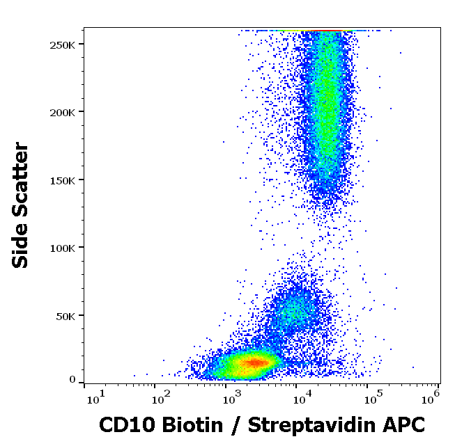 CD10 antibody (Biotin)