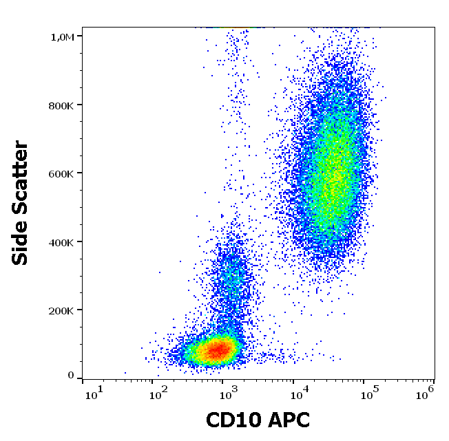 CD10 Antibody (APC)