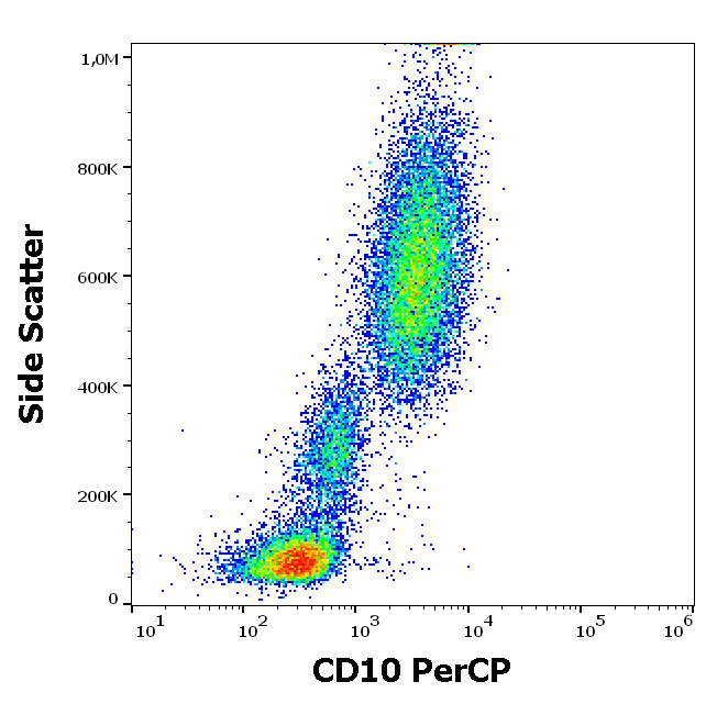 CD10 Antibody (PerCP)