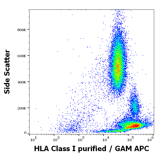 HLA-A antibody