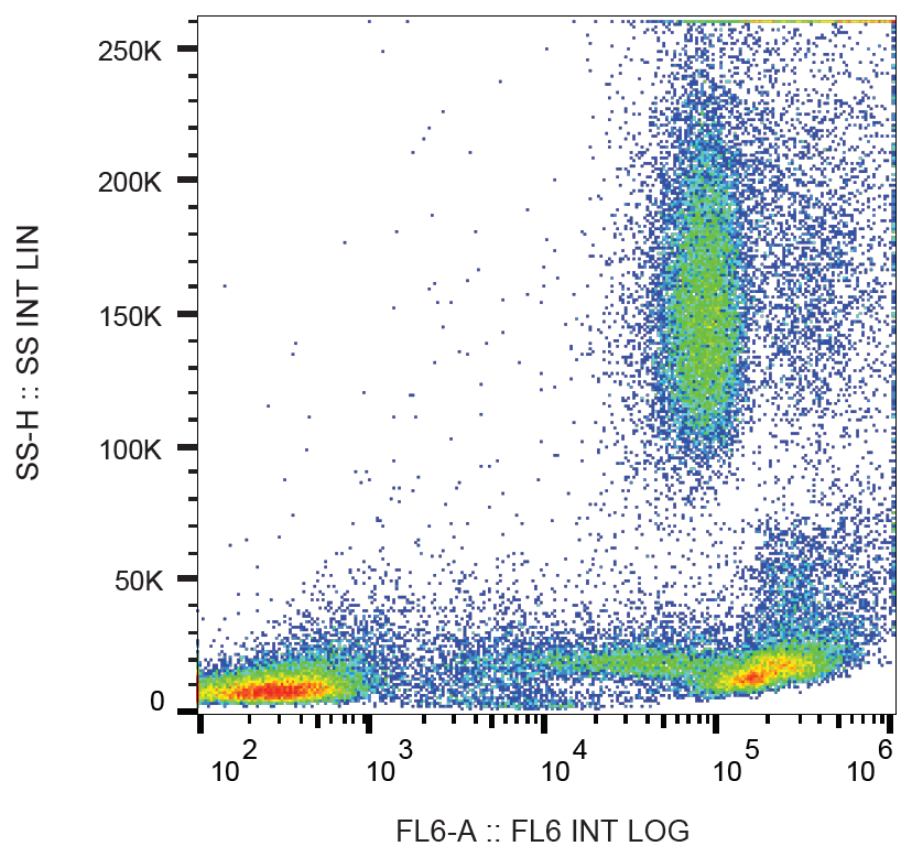 CD44 Antibody
