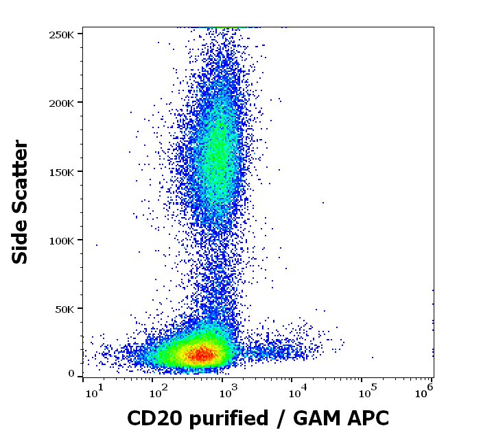 Anti-Hu CD20 Purified