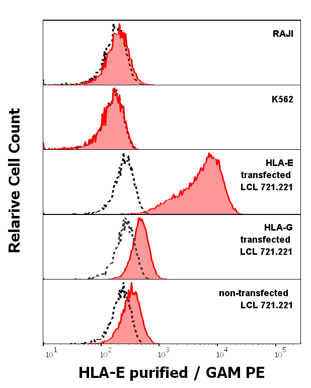 HLA-E Antibody